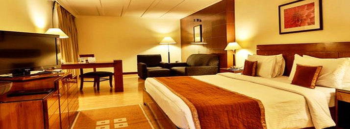 195/Fort Klassik Hotel - Ludhiana 11.jpg